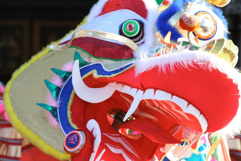 Read more about the article Chinese New Year